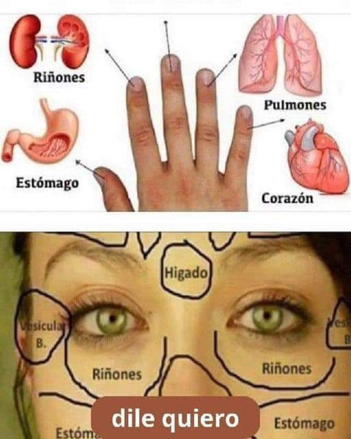 TU ROSTRO INDICA QUE ÓRGANO DEL CUERPO ESTÁ FALLANDO